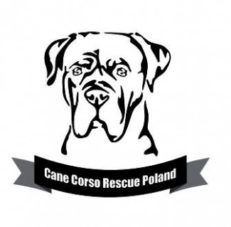 Fundacja Cane corso Rescue Poland
